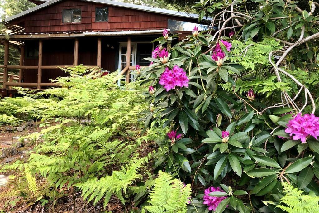 The Cabin In Packwood Exterior photo